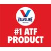 Valvoline MaxLife Multi-Vehicle Full Synthetic Automatic Transmission Fluid (ATF) 1 QT